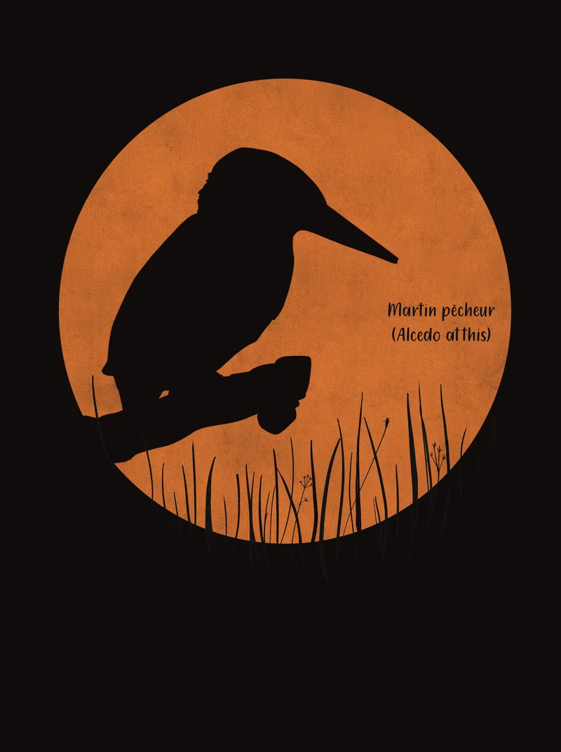 Martin-pêcheur en ombre noire sur un disque orange.